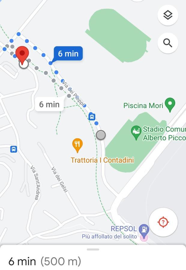 La Tana Della Volpe *